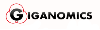Giganomics